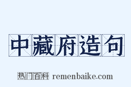 中藏府造句是什么意思的图片
